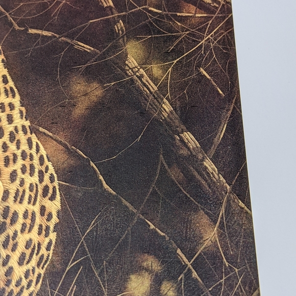 🏈 Andrew Bone NWOT African Mystique leopard art print brown black signed - Picture 5 of 9